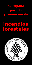 Cuidados con el fuego