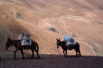 Cruce de la Cordillera de Los Andes Cabalgata Sanmartiniana