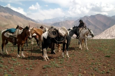 Cruce de la Cordillera de Los Andes Cabalgata Sanmartiniana