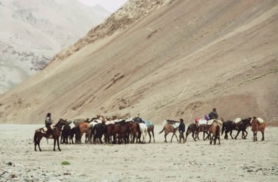 Cruce de la Cordillera de Los Andes Cabalgata Sanmartiniana